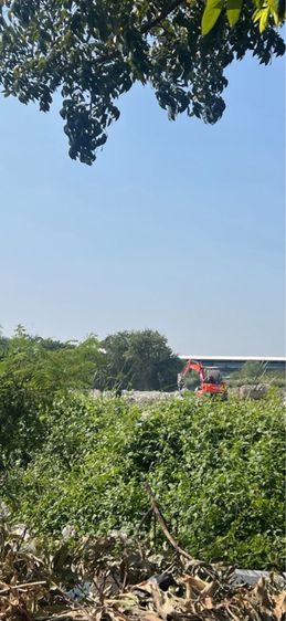 ใช่ ขายที่ดิน 800 ตรว. รูปที่ 2