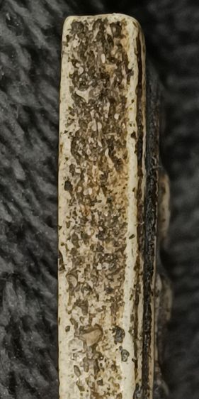 พระสมเด็จวัดระฆัง รูปที่ 7