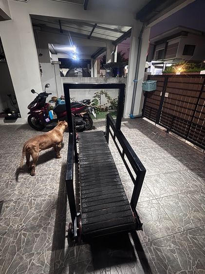 ลู่ วิ่ง สุนัข รูปที่ 2