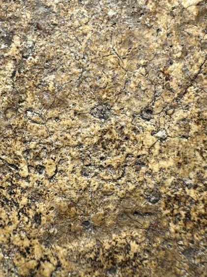 พระสมเด็จวัดระฆังพิมพ์ใหญ่ หลวงสิทธิการ (32) รูปที่ 8