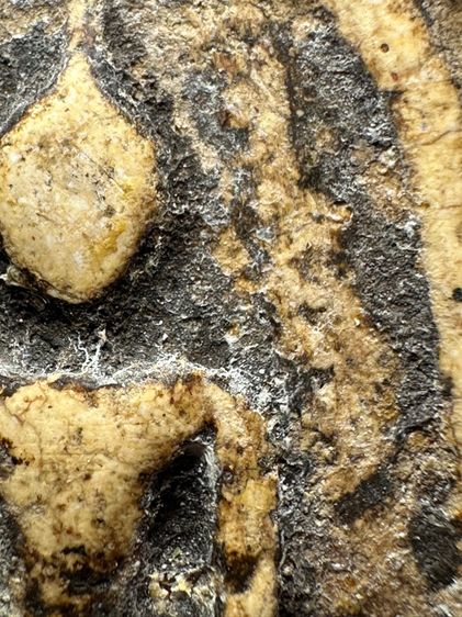 พระสมเด็จวัดระฆังพิมพ์ใหญ่ หลวงสิทธิการ (32) รูปที่ 6