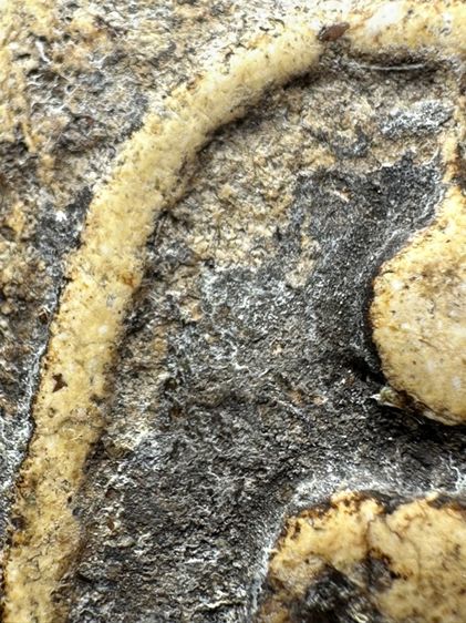 พระสมเด็จวัดระฆังพิมพ์ใหญ่ หลวงสิทธิการ (32) รูปที่ 5