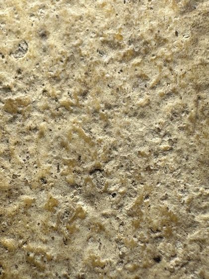 พระสมเด็จวัดระฆังพิมพ์ปรกโพธิ์เล็ก ส่งตามรูป (34) รูปที่ 8