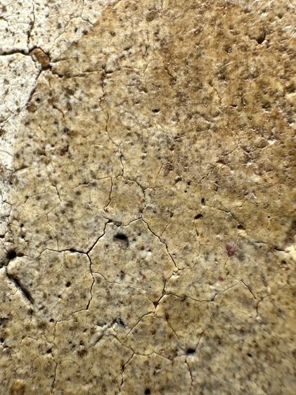 พระสมเด็จวัดระฆังพิมพ์เชียงแสน ส่งตามรูป (36) รูปที่ 8