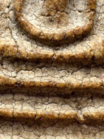 พระสมเด็จวัดระฆังพิมพ์เชียงแสน ส่งตามรูป (36) รูปที่ 7