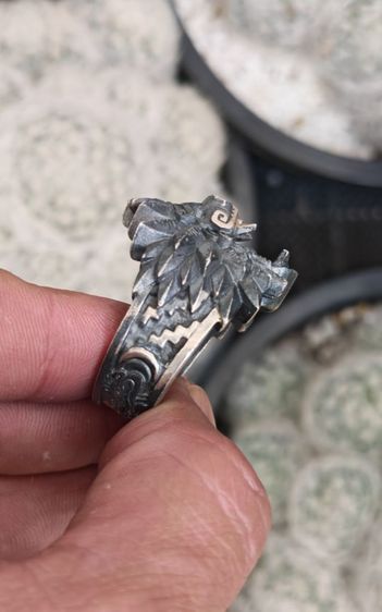 แหวนเงินแท้ Serpentforge ใครนิ้วใหญ่หาอยู่ จัดไปครับ ราคาแบ่งปัน รูปที่ 5