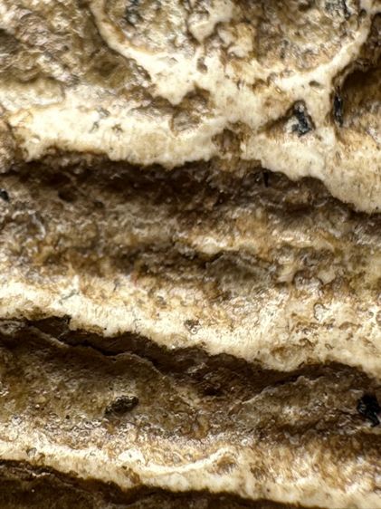 พระสมเด็จวัดระฆังพิมพ์ฐานแซม ส่งตามรูป (37) รูปที่ 7