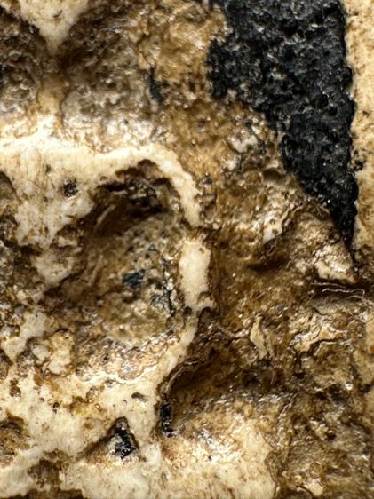 พระสมเด็จวัดระฆังพิมพ์ฐานแซม ส่งตามรูป (37) รูปที่ 6