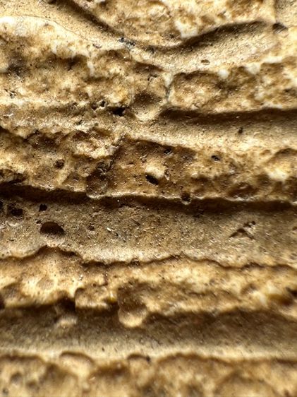 พระสมเด็จวัดระฆังพิมพ์ใหญ่ ส่งตามรูป (38) รูปที่ 7