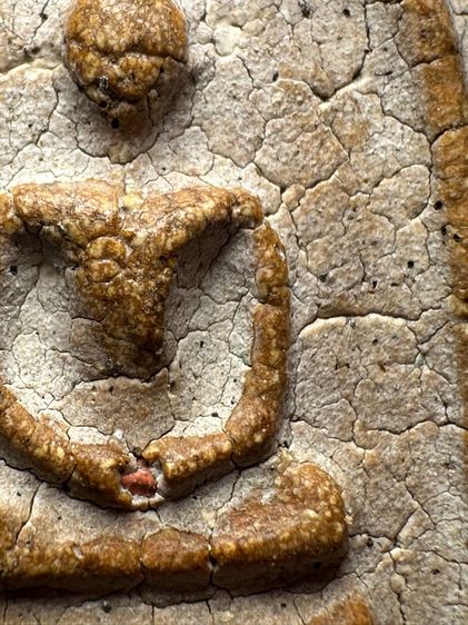 พระสมเด็จวัดระฆังพิมพ์ใหญ่ หลังตาฉัตรร.4 ส่งตามรูป (39) รูปที่ 6