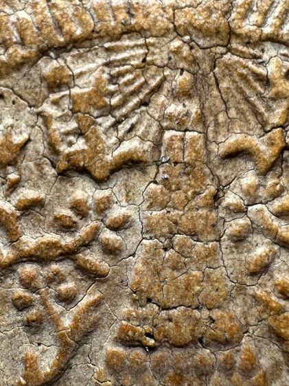 พระสมเด็จวัดระฆังพิมพ์ใหญ่ หลังตาฉัตรร.4 ส่งตามรูป (39) รูปที่ 8