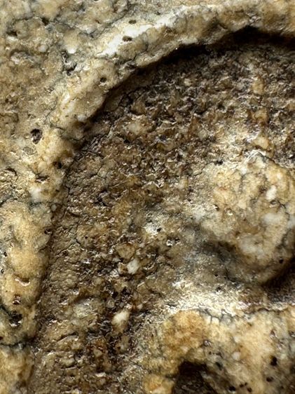 พระสมเด็จวัดระฆังพิมพ์เกศบัวตูม ส่งตามรูป (40) รูปที่ 5