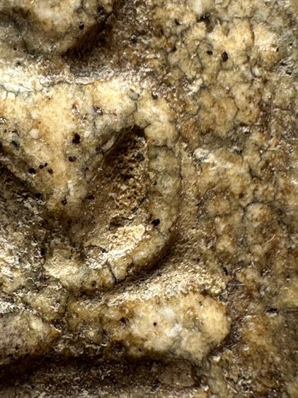 พระสมเด็จวัดระฆังพิมพ์เกศบัวตูม ส่งตามรูป (40) รูปที่ 6