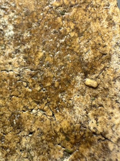 พระสมเด็จวัดระฆังพิมพ์ ฐานแซม ส่งตามรูป (41) รูปที่ 8