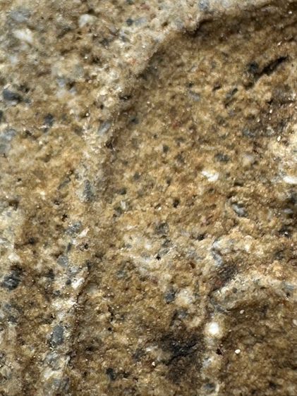 พระสมเด็จวัดระฆังพิมพ์ เส้นด้าย ส่งตามรูป(42) รูปที่ 5