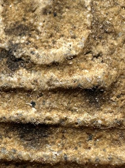 พระสมเด็จวัดระฆังพิมพ์ เส้นด้าย ส่งตามรูป(42) รูปที่ 7