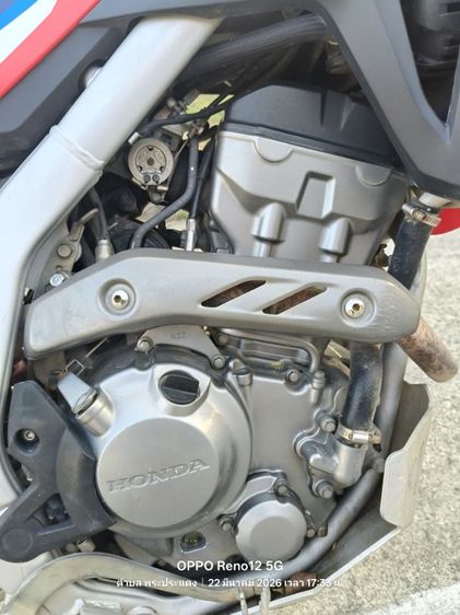 crf300 for sale  รูปที่ 4