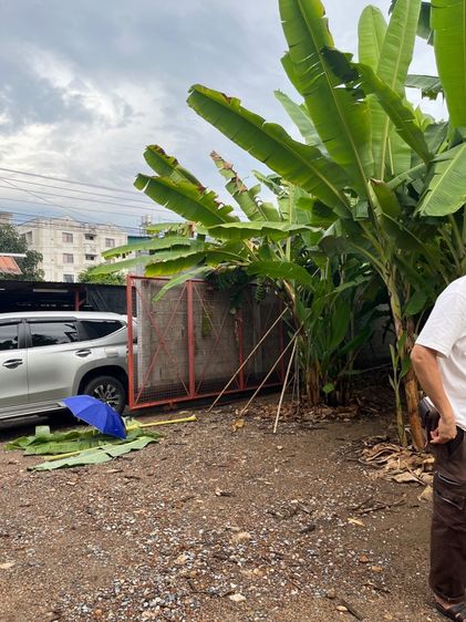 ที่ดิน รูปที่ 2