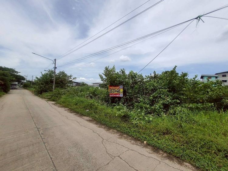 ขายด่วน ที่ดินใกล้ตลาดไท 403 ตรว ติดถนนคอนกรีตสาธารณะ 2 ด้าน ซ.ไอยรา 18,19 อ.คลองหลวง จ.ปทุมธานี 0