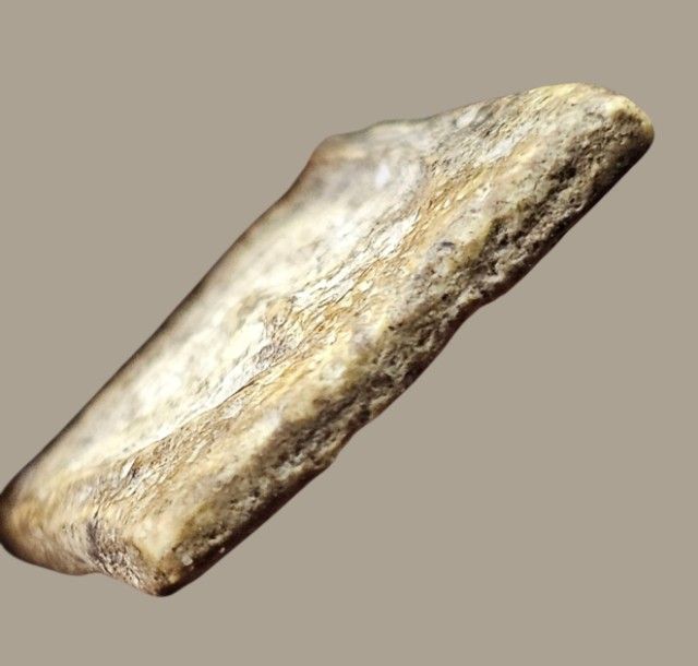 สมเด็จบางขุนพรหม พิมพ์เส้นด้าย แขนกลม กรุบางขุนพรหม รูปที่ 16