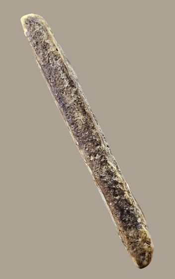 สมเด็จบางขุนพรหม พิมพ์เส้นด้าย แขนกลม กรุบางขุนพรหม รูปที่ 15