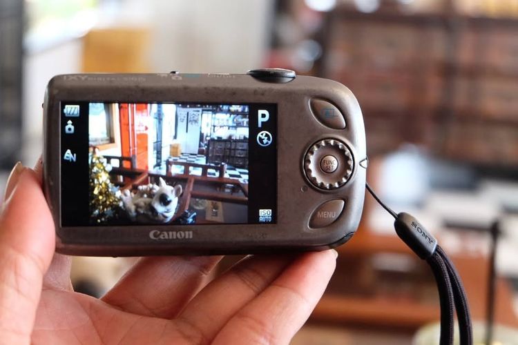 กล้อง canon ixy510is สีฟ้าสวย เมนู eng พิมพ์นิยม อินฟู idol พั้นรักแมว รูปที่ 8