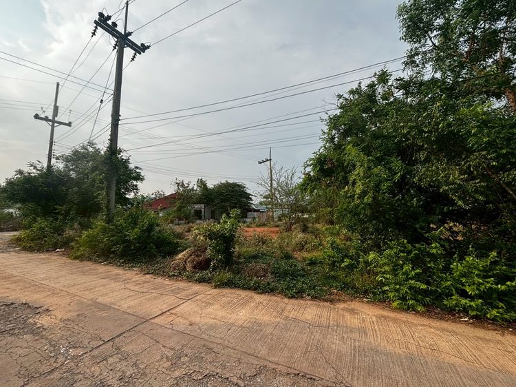 ขายที่ดินโคราช 97 ตรว. ติดถนน หน้า ม.ออมสิน รร.บุญเหลือฯ โคราช ราคาถูก รูปที่ 4