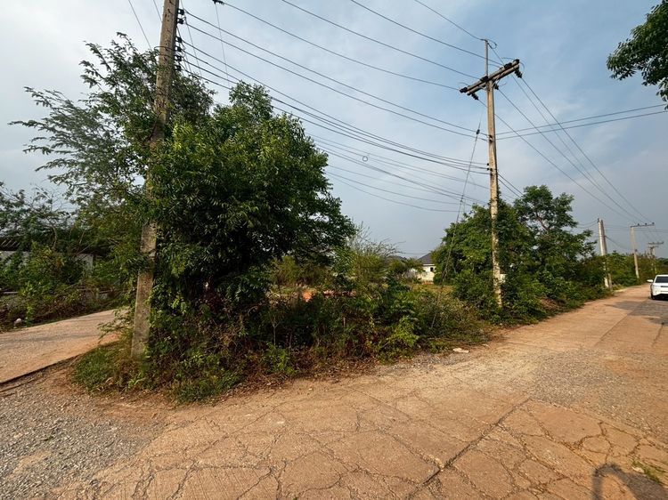 ขายที่ดินโคราช 97 ตรว. ติดถนน หน้า ม.ออมสิน รร.บุญเหลือฯ โคราช ราคาถูก รูปที่ 2