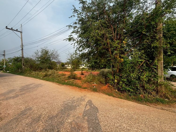 ขายที่ดินโคราช 97 ตรว. ติดถนน หน้า ม.ออมสิน รร.บุญเหลือฯ โคราช ราคาถูก รูปที่ 3