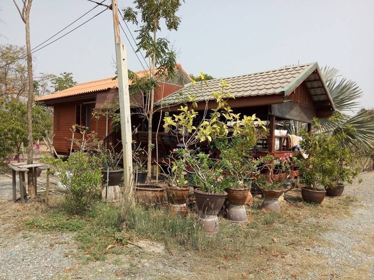 ที่ดิน10ไร่ต.สระกระโจมอ.ดอนเจดีย์ รูปที่ 3