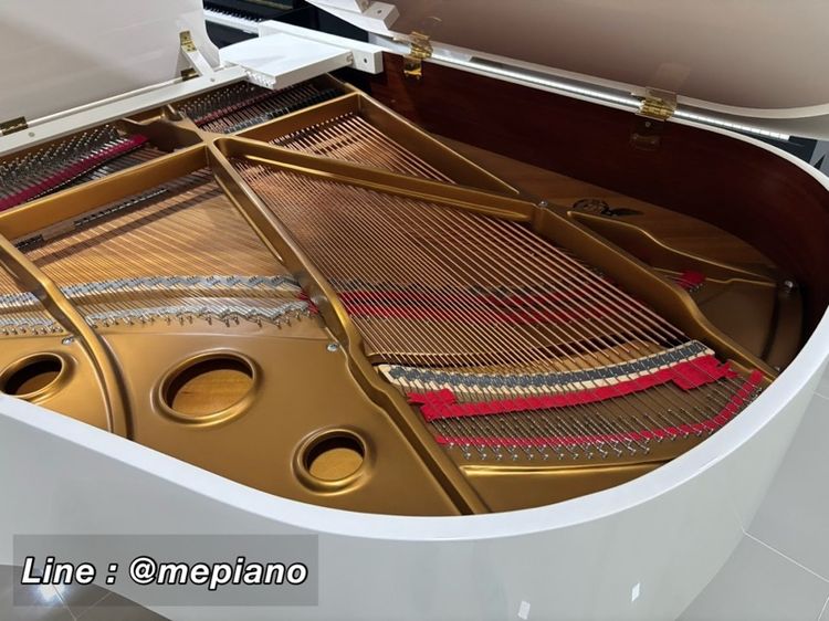 White Grand Piano WILH. STEINBERG แกรนด์เปียโน grand piano piano แกรนด์เปียโน แกรนด์เปียโน เปียโน piano grand รูปที่ 6