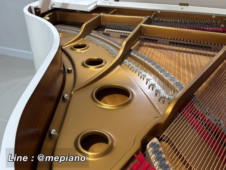White Grand Piano WILH. STEINBERG แกรนด์เปียโน grand piano piano แกรนด์เปียโน แกรนด์เปียโน เปียโน piano grand รูปที่ 10