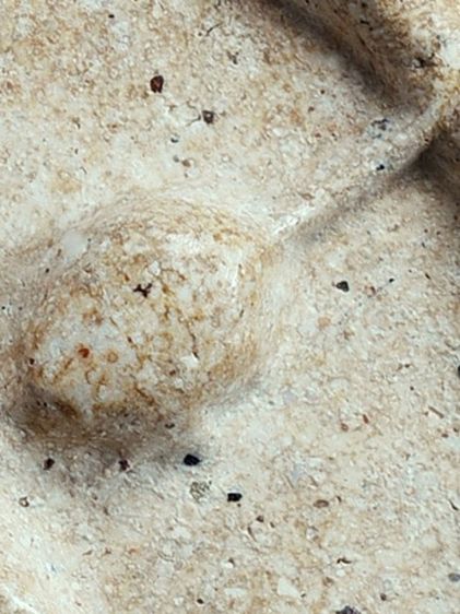 สวยแชมป์ ให้เช่าบูชา พระชุดเบญจภาคี พระสมเด็จ วัดระฆัง พิมพ์ใหญ่ เกศทะลุซุ้ม มีมวลสาร เก่า รูปที่ 14