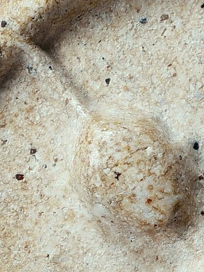 สวยแชมป์ ให้เช่าบูชา พระชุดเบญจภาคี พระสมเด็จ วัดระฆัง พิมพ์ใหญ่ เกศทะลุซุ้ม มีมวลสาร เก่า