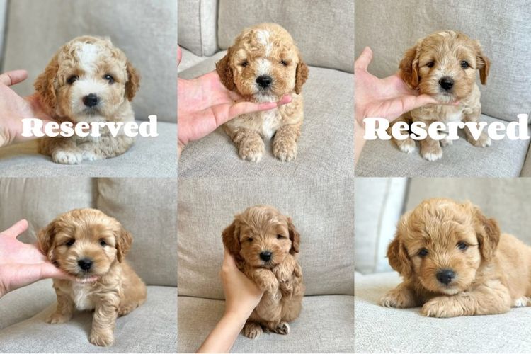 หาบ้านจ้า รูปที่ 2