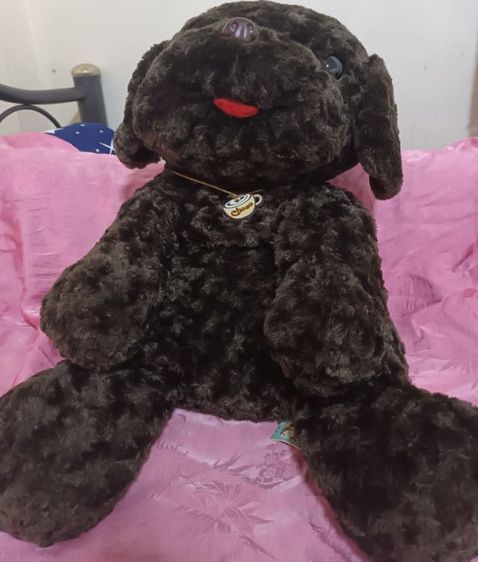 ตุ๊กตาผ้าขน ตุ๊กตาสุนัขช็อคโก มือสอง

26" ไม่มีกลิ่นช็อคโกแล็ค(มีกลิ่นเก่าควรซักก่อนใช้)