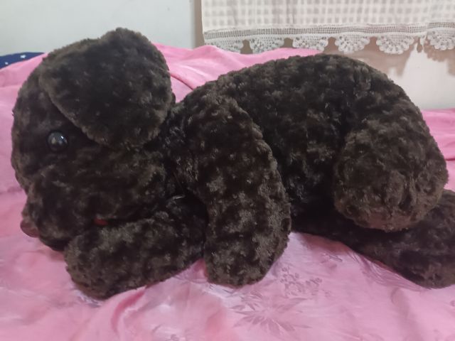 ตุ๊กตาสุนัขช็อคโก มือสอง

7 ตัว ไม่มีกลิ่นช็อคโกแล็ค รูปที่ 4