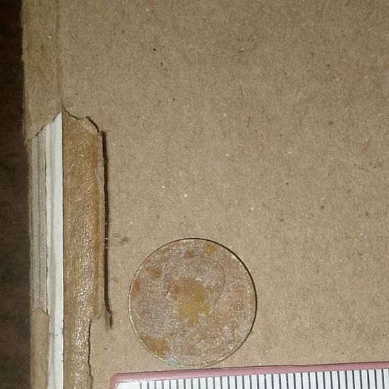 ขายเหรียญ50สต. ปี2548 รูปที่ 3