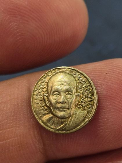 เม็ดกระดุม หลวงปู่ดูลย์ รูปที่ 7