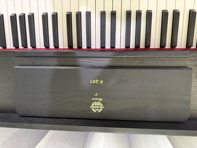 ขายเปียโนไฟฟ้า