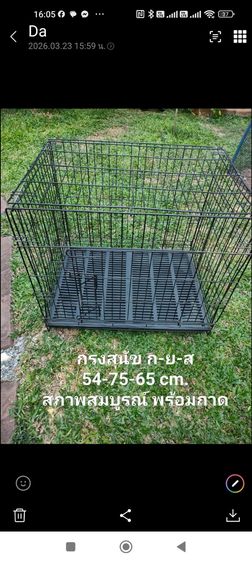 กรง คอกและประตู กรงสุนัข