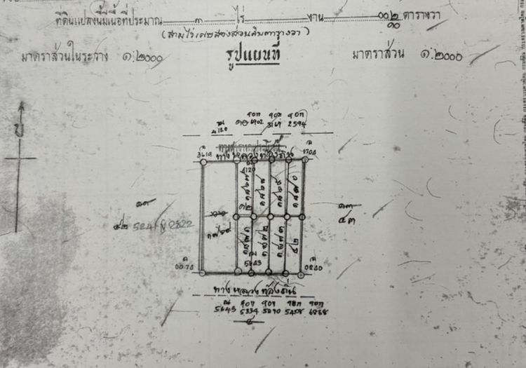 ที่ดินเนื้อที่ 1 ไร่ 2 งาน แบ่งขายเป็นล็อค ล็อคละ 100 ตรว. อ.เมือง จ.เพชรบูรณ์ พร้อมต้นสัก รูปที่ 3