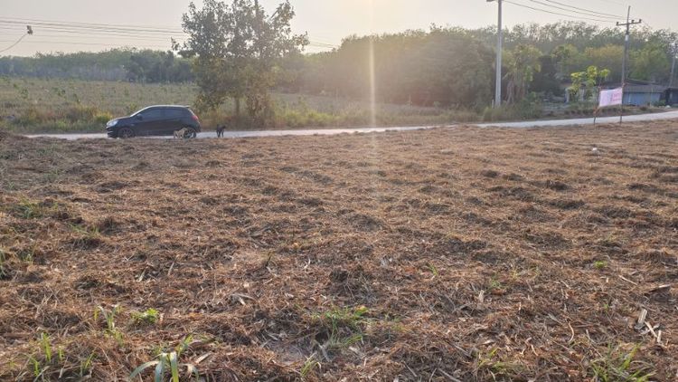 ขายที่ดิน หนองละลอก บ้านค่าย ระยอง