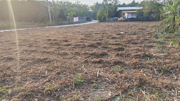 ขายที่ดิน หนองละลอก บ้านค่าย ระยอง รูปที่ 3