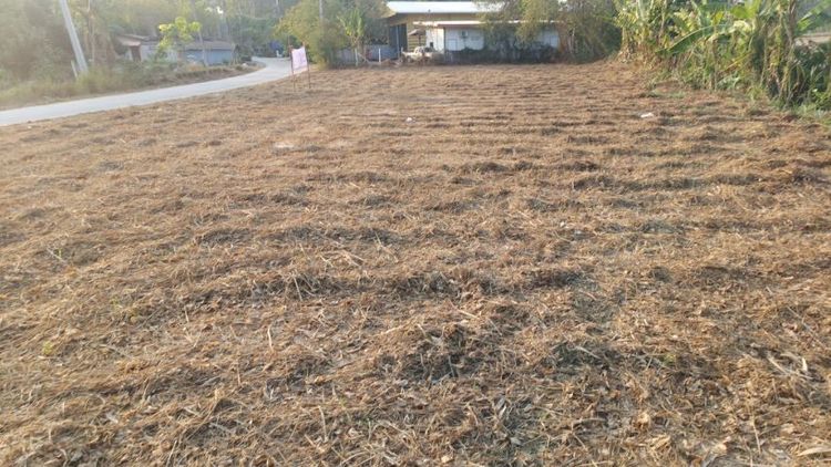 ขายที่ดิน หนองละลอก บ้านค่าย ระยอง รูปที่ 2