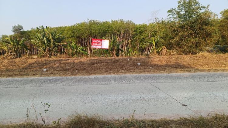 ขายที่ดิน หนองละลอก บ้านค่าย ระยอง รูปที่ 4