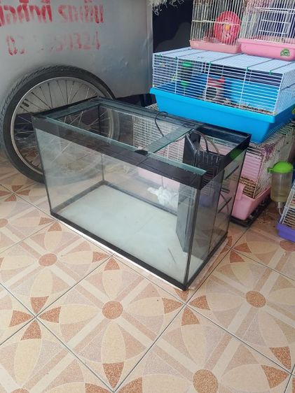 ตู้ปลา รูปที่ 2