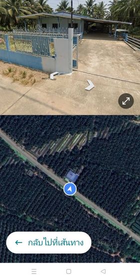 ขายด่วน เจ้าของขายเอง  สวนมะพร้าว ราชบุรี พร้อมบ้าน 1 หลัง รูปที่ 4