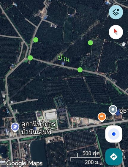 ขายด่วน เจ้าของขายเอง  สวนมะพร้าว ราชบุรี พร้อมบ้าน 1 หลัง