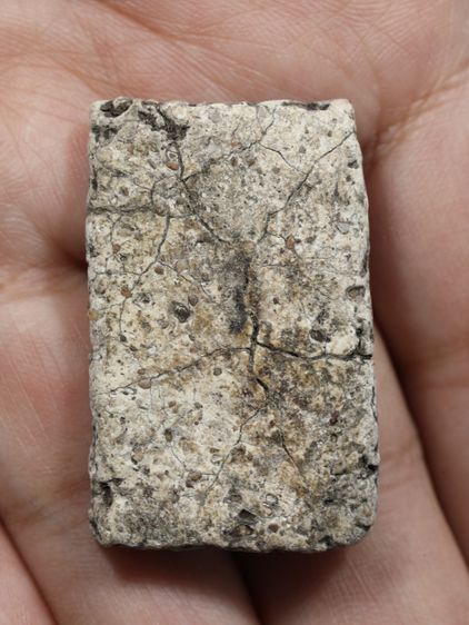 รหัส 021 - พระสมเด็จพิมพ์ฐานแซม วัดระฆังโฆสิตาราม สภาพสวยสมบูรณ์ มวลสารชัดเจน รับประกันตรงปกตามรูปภาพค่ะ จากหีบโบราณ” โทร 0933253888 รูปที่ 6